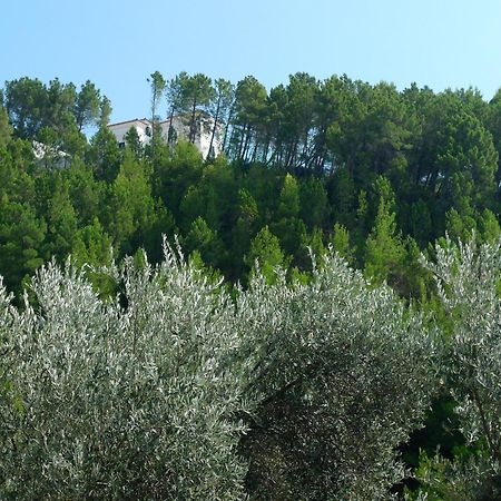 Apartments Maslina Sveti Stefan Extérieur photo