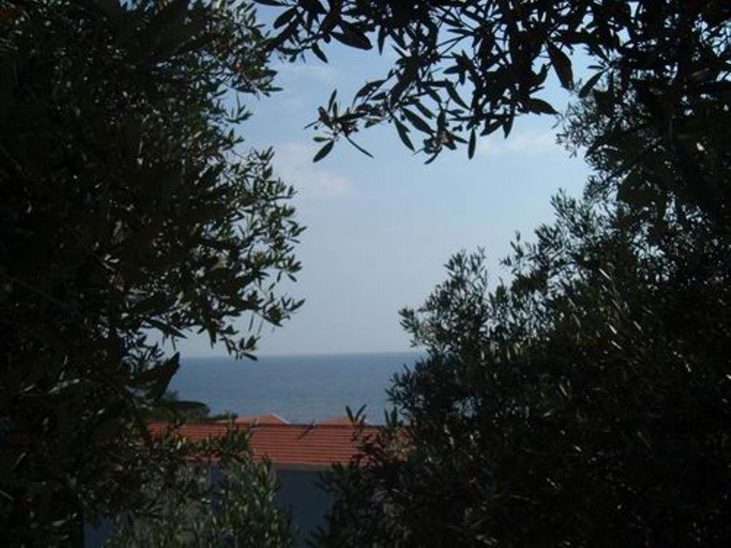 Apartments Maslina Sveti Stefan Extérieur photo