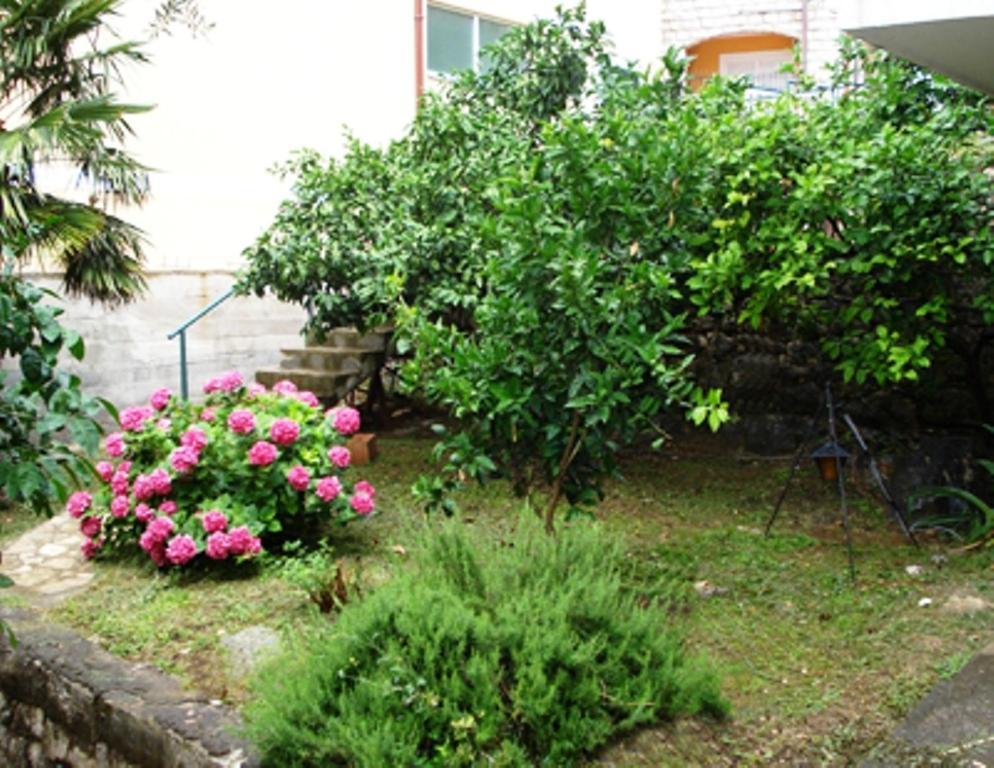 Apartments Maslina Sveti Stefan Extérieur photo