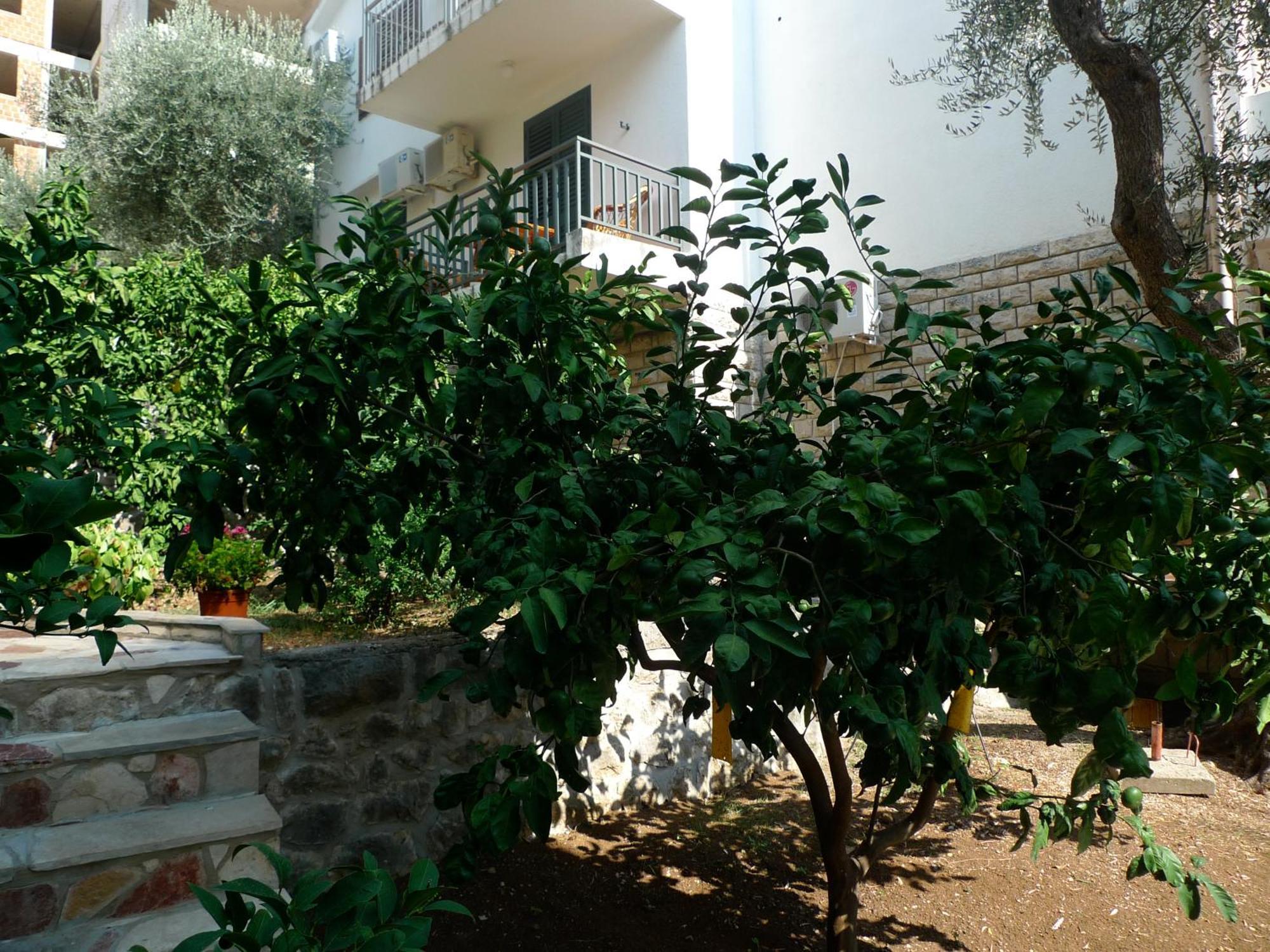 Apartments Maslina Sveti Stefan Extérieur photo